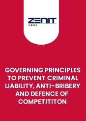 Governing principles to prevent criminal liability